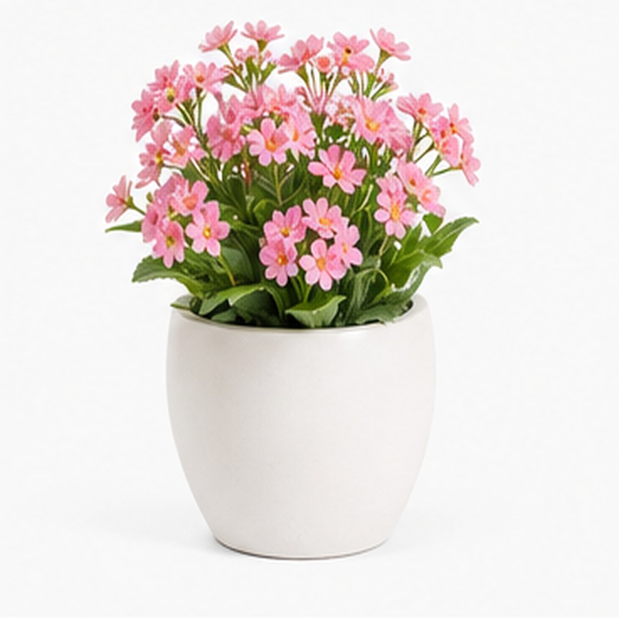 Living Room Greenery