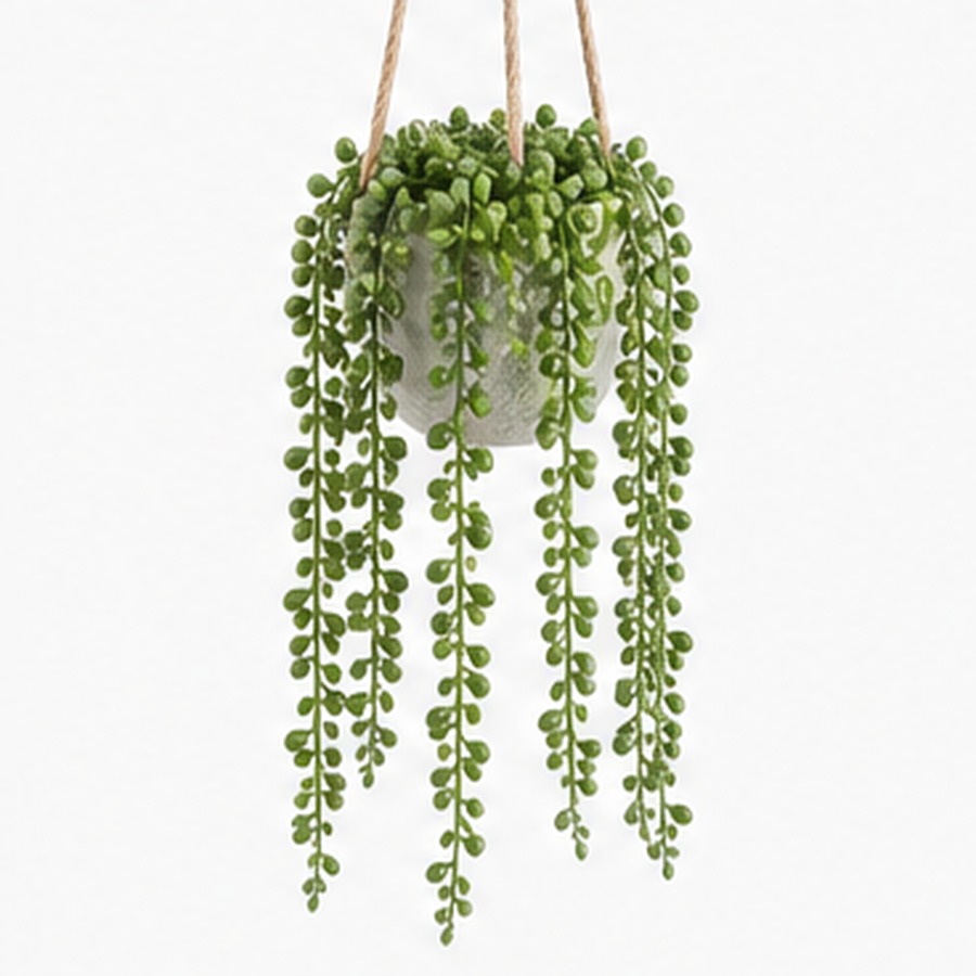 boxwood-topiary-ball-pot